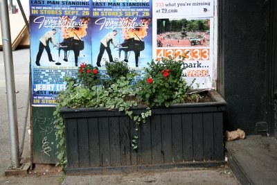 Sidewalk Garden & Posters at a Construction Site