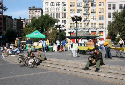 Plant a Daffodil Bulb New Yorkers for Parks Project