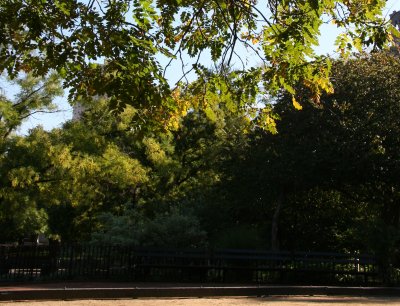 Bocce Ball Court & Autumn Foliage