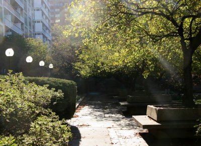 Morning Garden Light