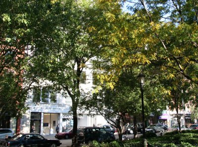LaGuardia Place Street View
