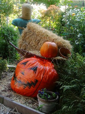 Harvest & Halloween Display