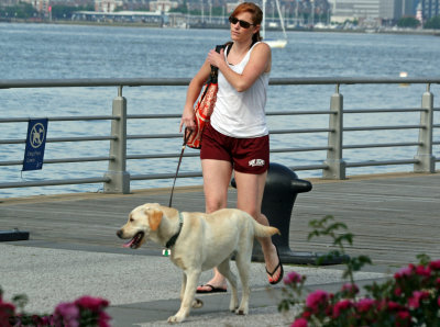 Walking the Dog on Christopher Street Pier