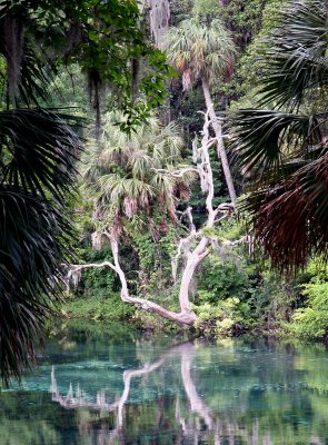 Rainbow Springs State Park