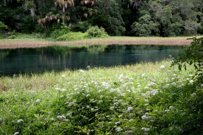 Rainbow Springs State Park