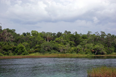 Rainbow Springs State Park