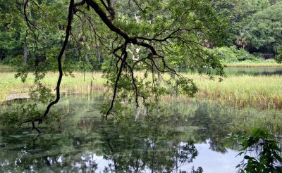 Rainbow Springs State Park