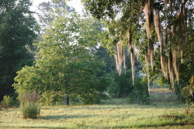 Rainbow Springs State Park