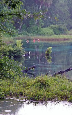 Rainbow Springs State Park