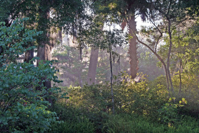 Rainbow Springs State Park