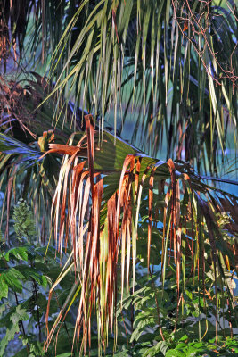 Rainbow Springs State Park