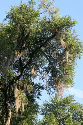 Rainbow Springs State Park