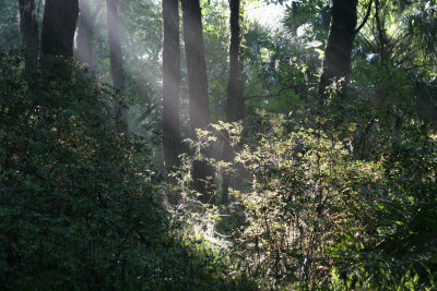 Rainbow Springs State Park