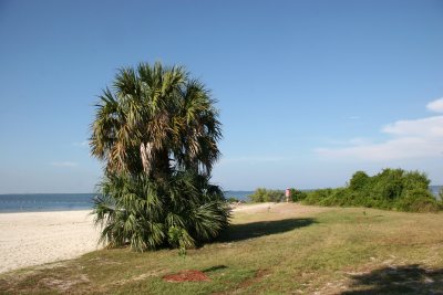 Fort Island Gulf Beach