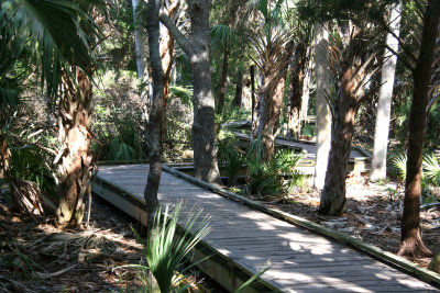 Fort Island Gulf Beach