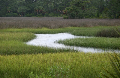 View from Cedar Key Road