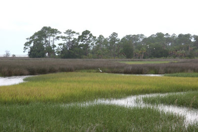 View from Cedar Key Road