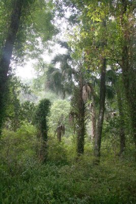 Rainbow Springs State Park