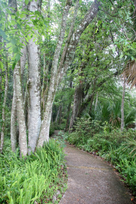 Rainbow Springs State Park