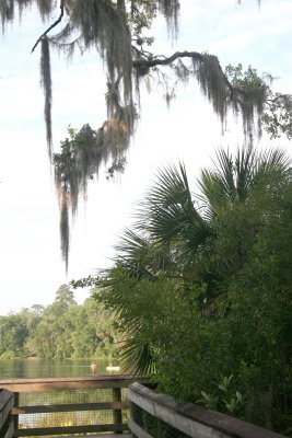 Rainbow Springs State Park