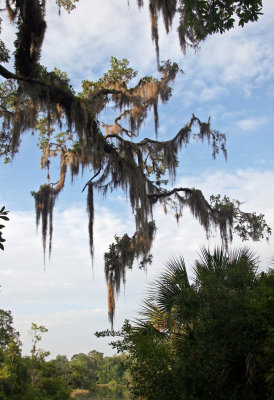 Rainbow Springs State Park