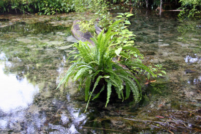 Rainbow Springs State Park