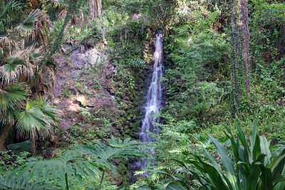 Rainbow Springs State Park
