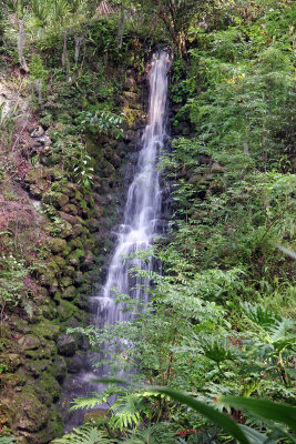 Rainbow Springs State Park
