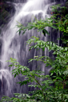 Rainbow Springs State Park