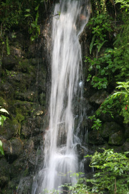 Rainbow Springs State Park