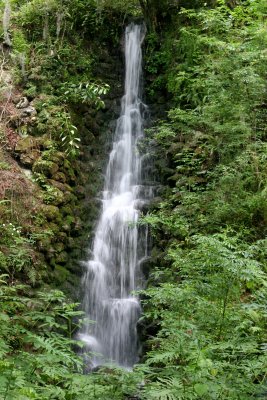 Rainbow Springs State Park