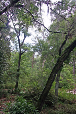 Rainbow Springs State Park