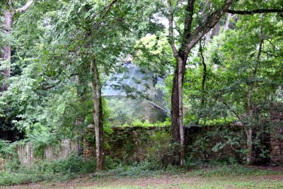 Rainbow Springs State Park