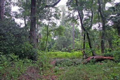 Rainbow Springs State Park