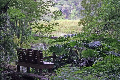 Rainbow Springs State Park