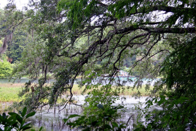 Rainbow Springs State Park