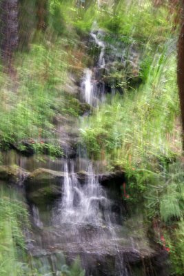 Rainbow Springs State Park