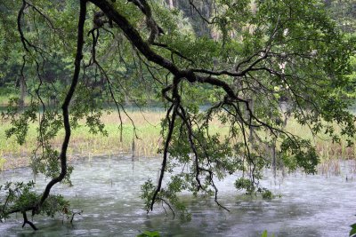 Rainbow Springs State Park