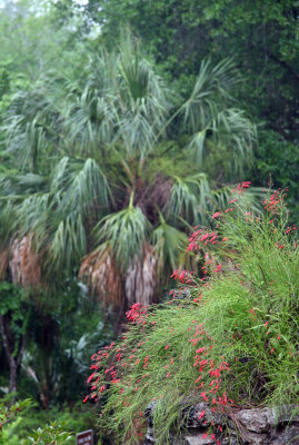 Rainbow Springs State Park