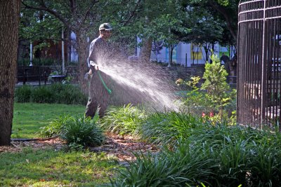 Watering a Flower Garden