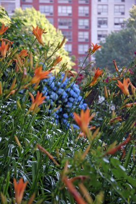 Garden View - Day Lilies & Hydrangea