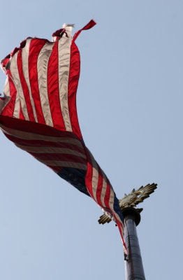 Under the Flag Pole