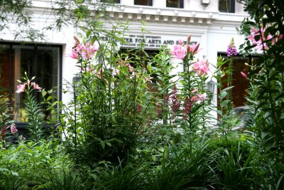 Lilies & NYU Main Building