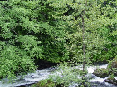 DSC07363.JPG