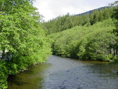 DSC07380.JPG