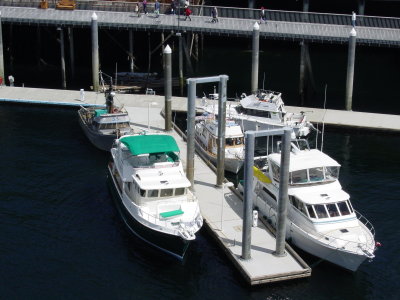 DSC07413.JPG