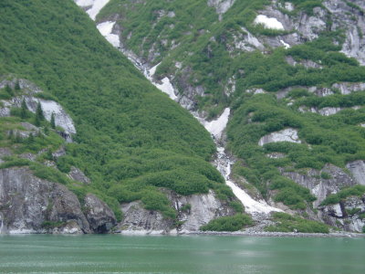 DSC07592.JPG