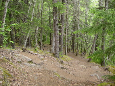 DSC07643.JPG