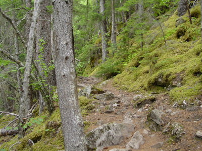 DSC07648.JPG