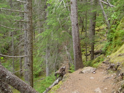 DSC07650.JPG